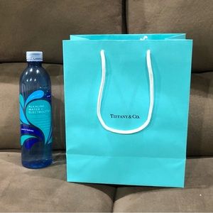Medium-Sized Authentic Tiffany Shopping Bag